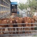 강성인농장 이미지