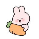 PK복싱 이미지