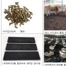 145커피 - 해운대구 해운대해변로 353 | 145커피