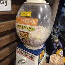 옥현중학교 이미지