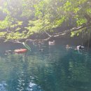 더 플라야 이미지