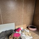 아지동물병원 | [김포유기견봉사활동]아지네마을에서 봉사하기🐶🐕🐾