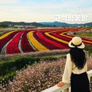 고석정광장 | 철원 가볼만한곳 고석정 꽃밭 주차장, 강원도 철원 여행코스 추천