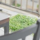오름스테이 네이버블로그