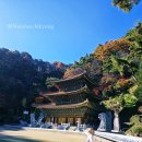 씨유 단양이편한점 | 충북 단양 구인사 단풍 주차 11월 실시간 보발재 등 당일치기 코스