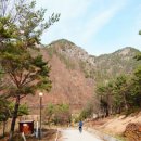 산촌박물관 사무실 이미지