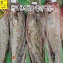 3월 8일, 자연산 민어회, 통치, 가자미, 아귀, 국내산 신안홍어, 냉동(먹갈치,복어,죽상어), 반건조(부세,참조기,먹갈치,병어), 이미지