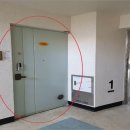 유림-1101 이미지