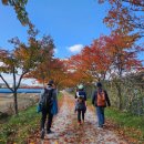 남원공원민박 이미지