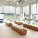 활기찬마취통증의학과의원 네이버블로그
