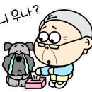 오션메디칼 이미지