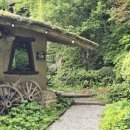 박터진흥부네 이미지