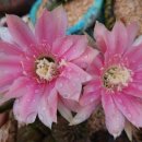 안녕오토캠핑장 이미지