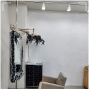 멍멍이 미용실 이미지