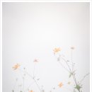 송현공원 이미지