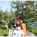 신암초교 병설유치원 이미지