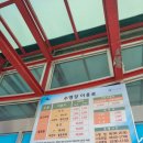 사천실내수영장 | 사천시실내수영장 원정 수영 일일 자유수영 후기