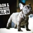 Jena house 이미지