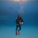 동해시 평생교육센터 | 머메이드다이빙 배우기! 수원 &#34;펀펀다이브 클럽&#34;에서 즐긴 머메이드 교육