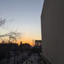 University of California Berkeley MCB 생명과학 교환학생 후기 및 장단점 공유 | 한미 첨단분야 청년...