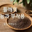 들깨 먹으면 효능 안효능 들기름 먹으면 효능 안효능 이미지