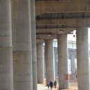 저단59 | [중저단 꼼빠냐 님 번개] - 서울 월릉교, 태릉CC, 왕숙천, 미음나루고개(조말생 묘), 두물머리, 덕소역