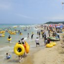 (주)동해관광 이미지