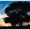 스마일 토이 이미지