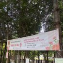 금호종합사회복지관 | 광주 보청기, 광주 수완 탑 이비인후과에서 금호종합사회복지관으로 한마음 대축제 다녀왔습니다!