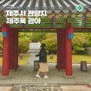 매화자동차정비 | 제주 현지인 관광지 폭싹 속았수다 촬영지 제주목 관아