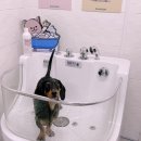 더글램 펜션 이미지