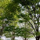 세븐일레븐 남양주송촌리점 이미지