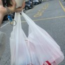 교동로L | 새로오픈한 탐나는피자 용인양지점 방문포장 후기!