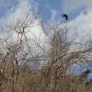 두산마을회관 이미지