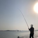 서산바다펜션 이미지