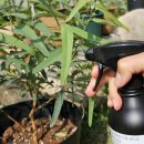 참농비료 이미지