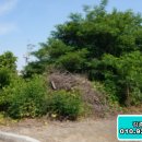 팔봉동-03 이미지