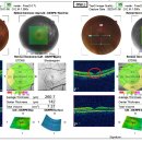 분도안과의원 이미지