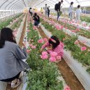 일조농장 이미지