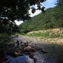 별이 빛나는 밤에 펜션 캠핑 이미지