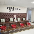 엘림아로마