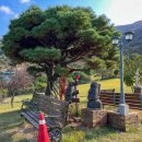 하늘맑은집펜션 이미지