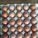 행복양계장 이미지