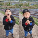 무학농장 이미지