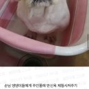 여시 캡쳐 ~~눈팅만 하던 내가 메바여 첫 입성한 건에 대하여~~ 이미지