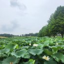성호로 이미지