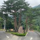 삼척활기자연휴양림 이미지