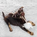 대중메디칼 이미지