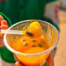 26260-05-21-054 | 2026 의성산수유축제 완벽가이드 | 일정.출연가수 라인업. 포토스팟 정리