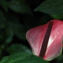 부천자연생태박물관 이미지